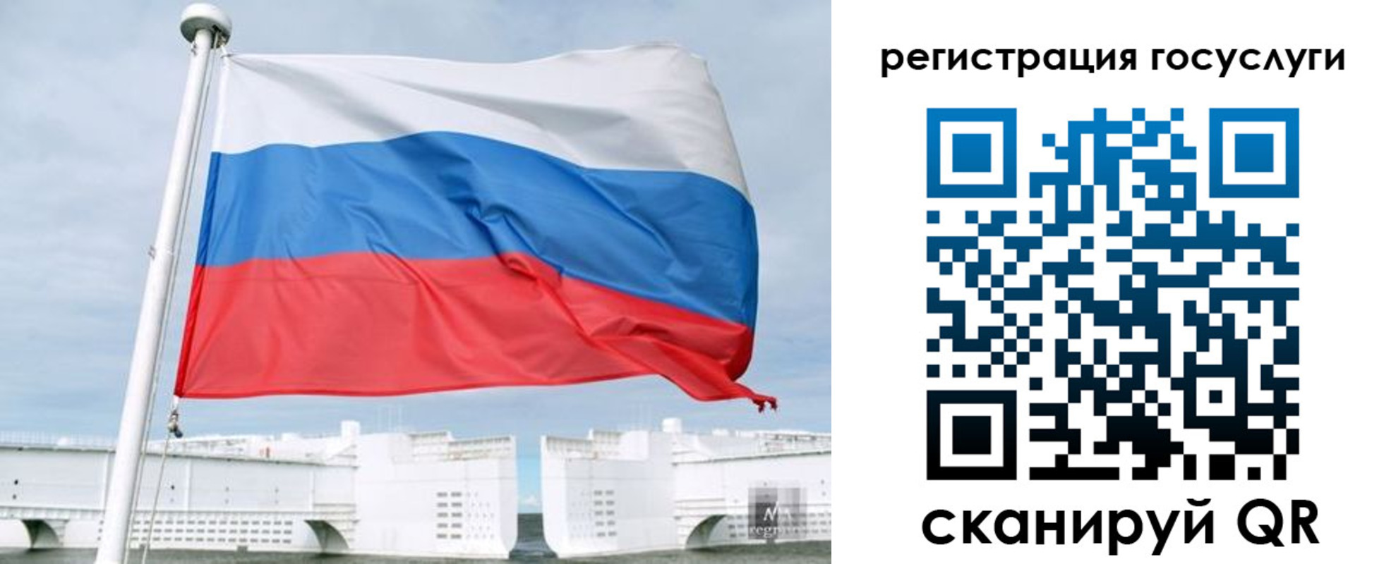 временная регистрация поиск в Светогорске